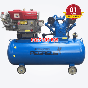 Máy nén khí đầu nổ chạy bằng xăng Pegasus TM-V-0.25/8-100L