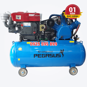 Máy nén khí đầu nổ chạy bằng dầu Diesel Pegasus TM-W-1.6/8-500L