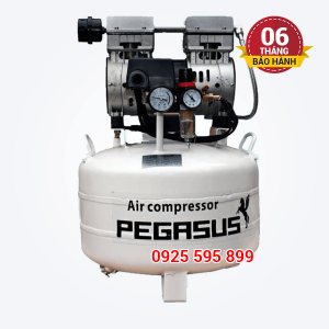 Máy nén khí không dầu giảm âm Pegasus TM-OF750-40L