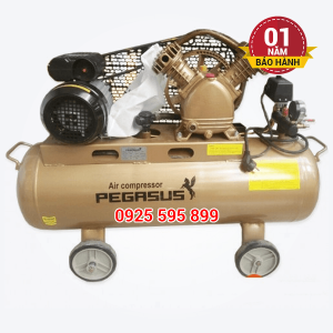 Máy nén khí dây đai Pegasus TM-V-0.25/8-120L