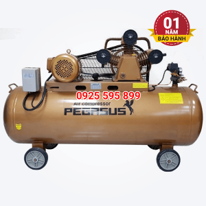 Máy nén khí dây đai Pegasus TM-W-0.36/8-180L (220V)