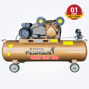 Máy nén khí dây đai Pegasus TM-V-0.25/8-180L(380V)
