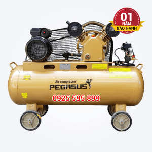 Máy nén khí dây đai Pegasus TM-V-0.25/8-70L