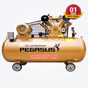 Máy nén khí dây đai Pegasus TM-V-0.6/8-230L
