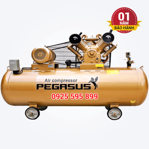 Máy nén khí dây đai Pegasus TM-V-0.6/8-330L
