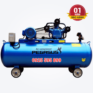 Máy nén khí dây đai Pegasus TM-W-0.36/8-230L (220V)