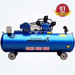Máy nén khí dây đai Pegasus TM-W-0.36/8-330L (220V)