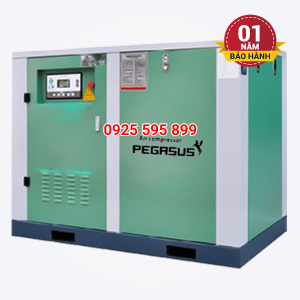 Máy nén khí trục vít Pegasus TMPM150A (110kW - 150HP)