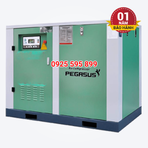 Máy nén khí trục vít Pegasus TMPM175A (132kW - 175HP)